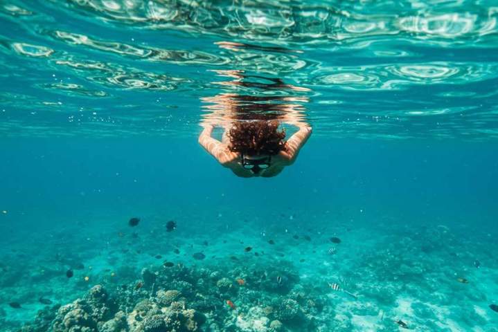 Exploration marine (apportez votre matériel).