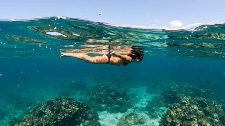 Exploration fonds marins Martinique