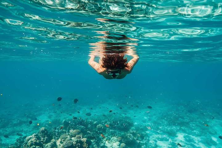 Snorkeling Martinique