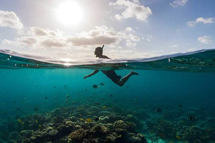 Exploration fonds marins Martinique